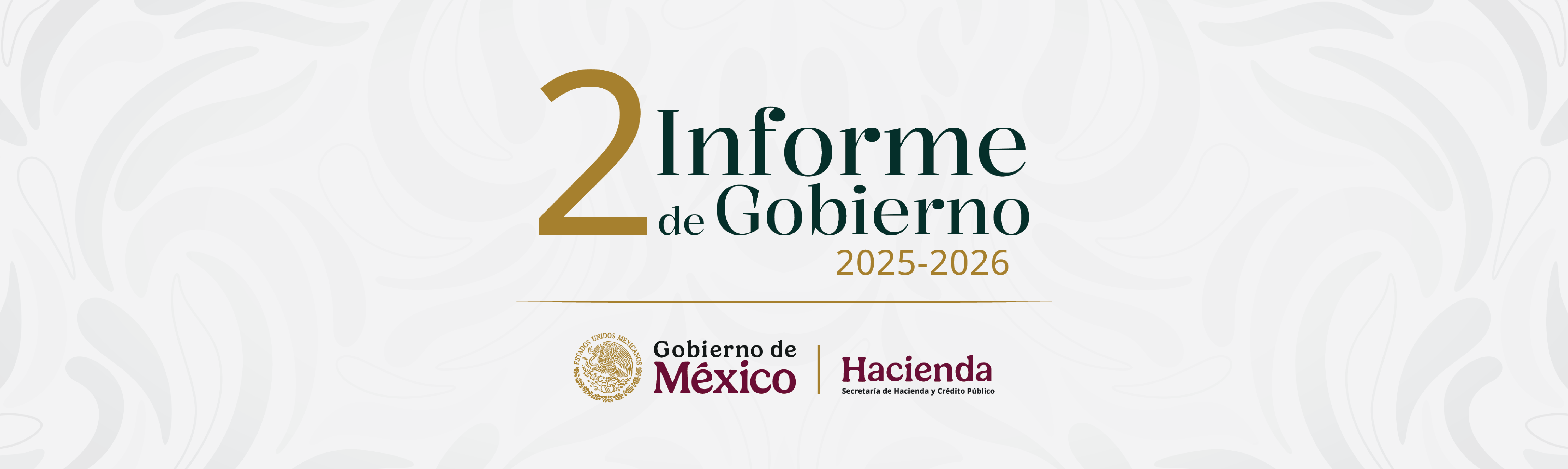 segundo informe