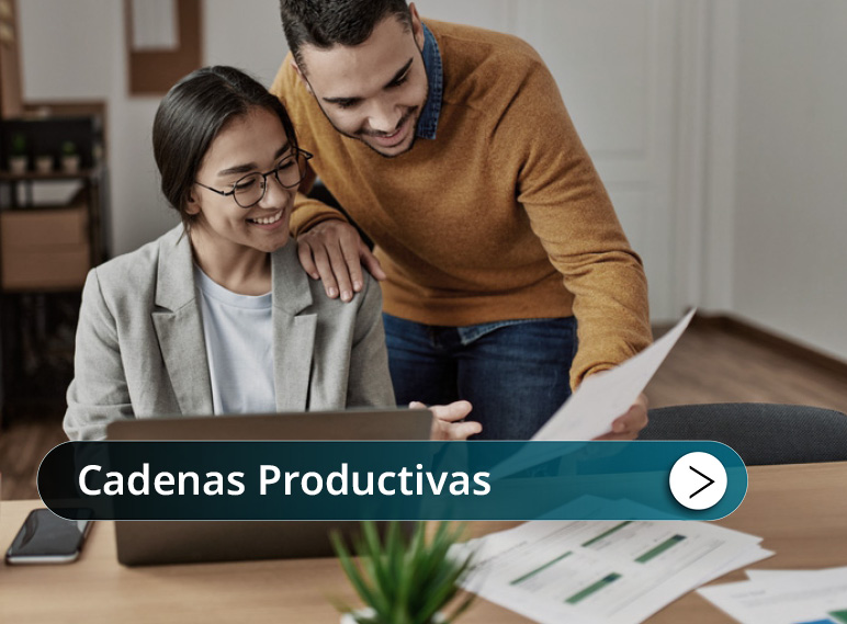 Cadenas productivas Mini