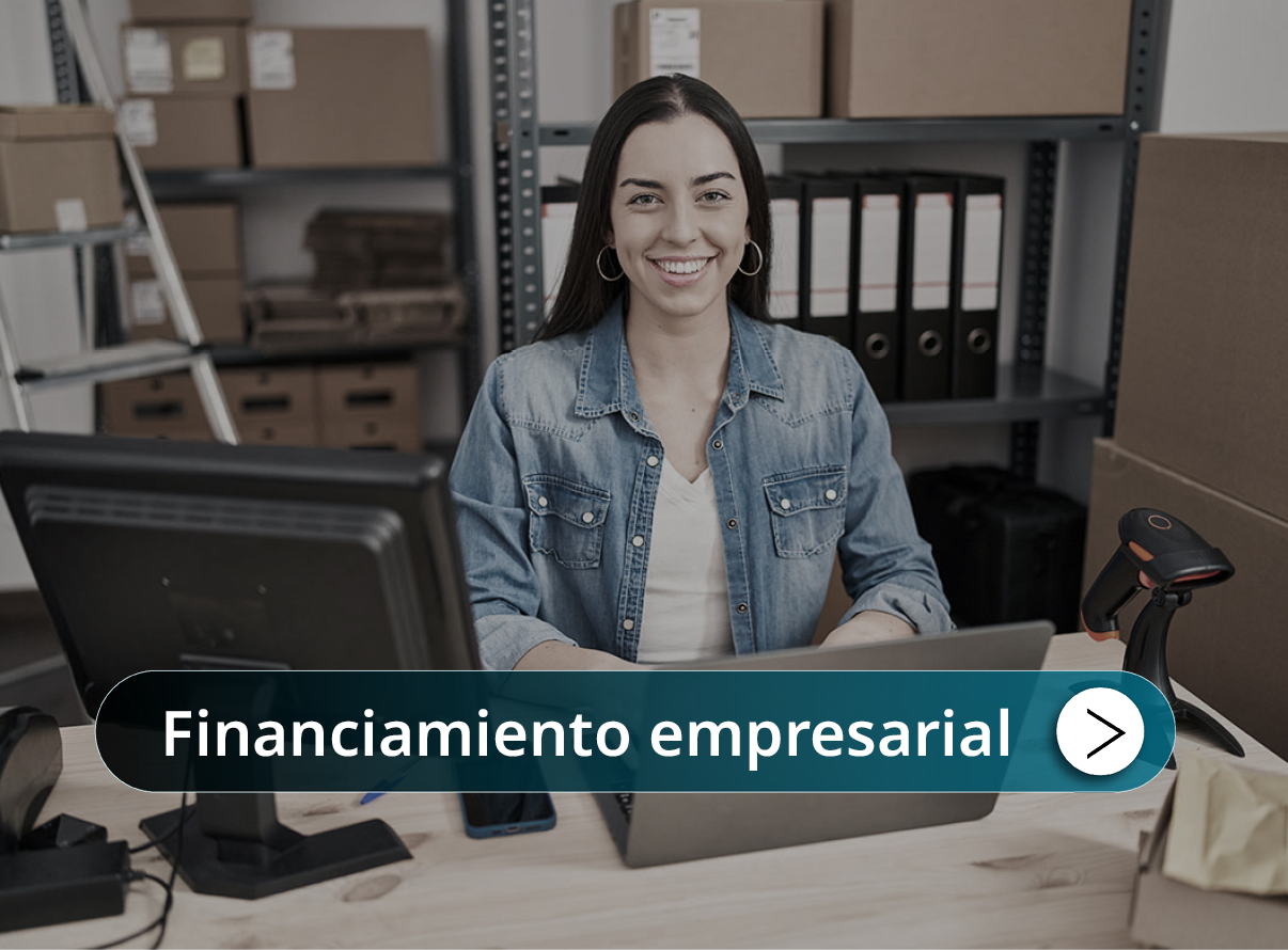 Financiamiento empresarial Mini