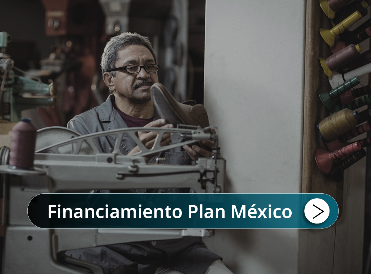 Financiamiento Plan M�xico Mini