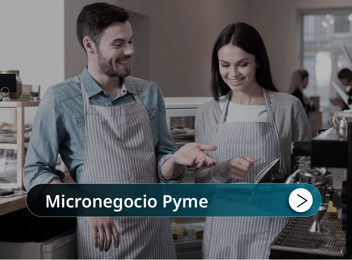 Micronegocio Pyme Mini