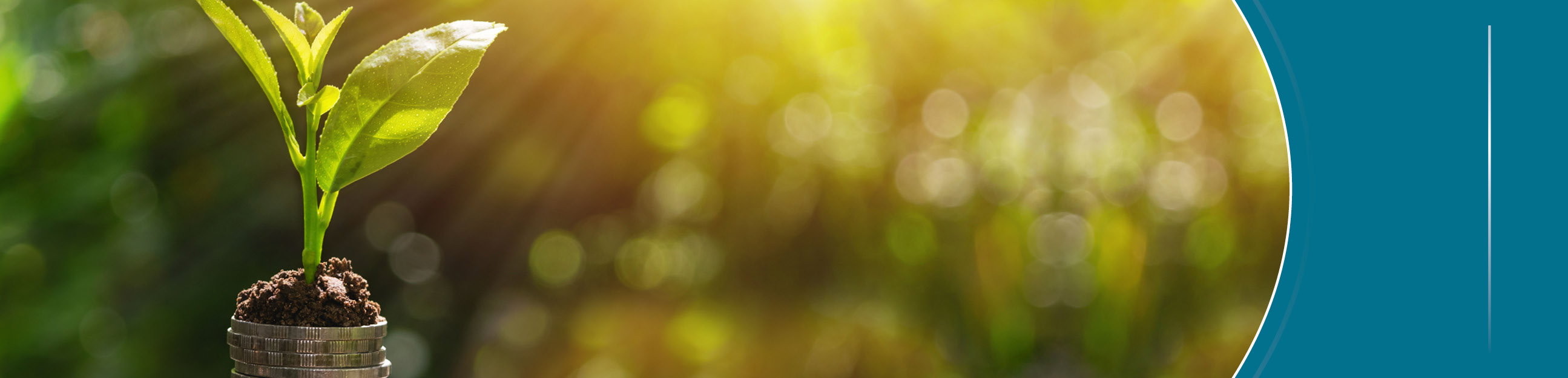 Texto alternativo - SARAS