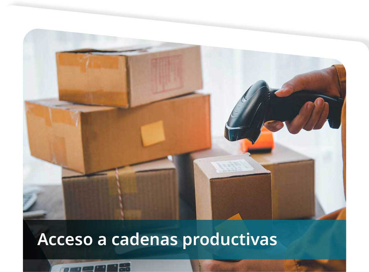 Acceso a Cadenas Productivas Mini