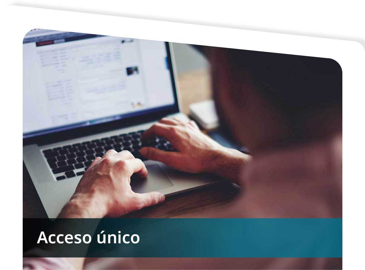 Acceso �nico Mini