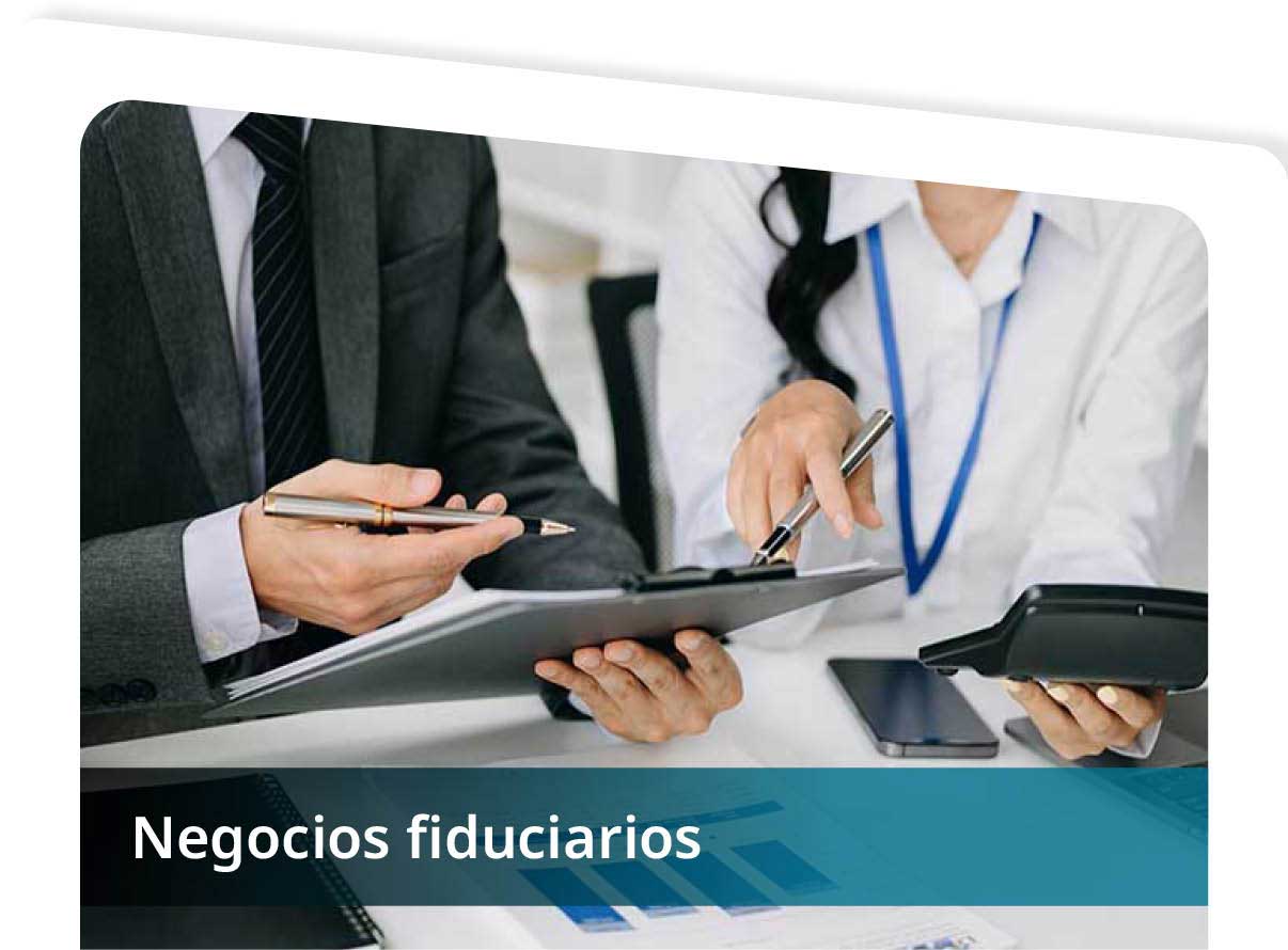 Negocios Fiduciarios Mini
