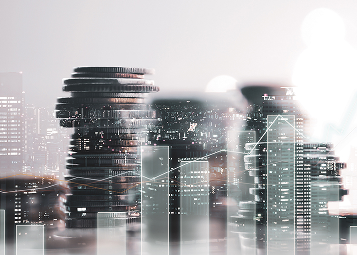 Seccion - Acciones para Apoyar la Econom�a