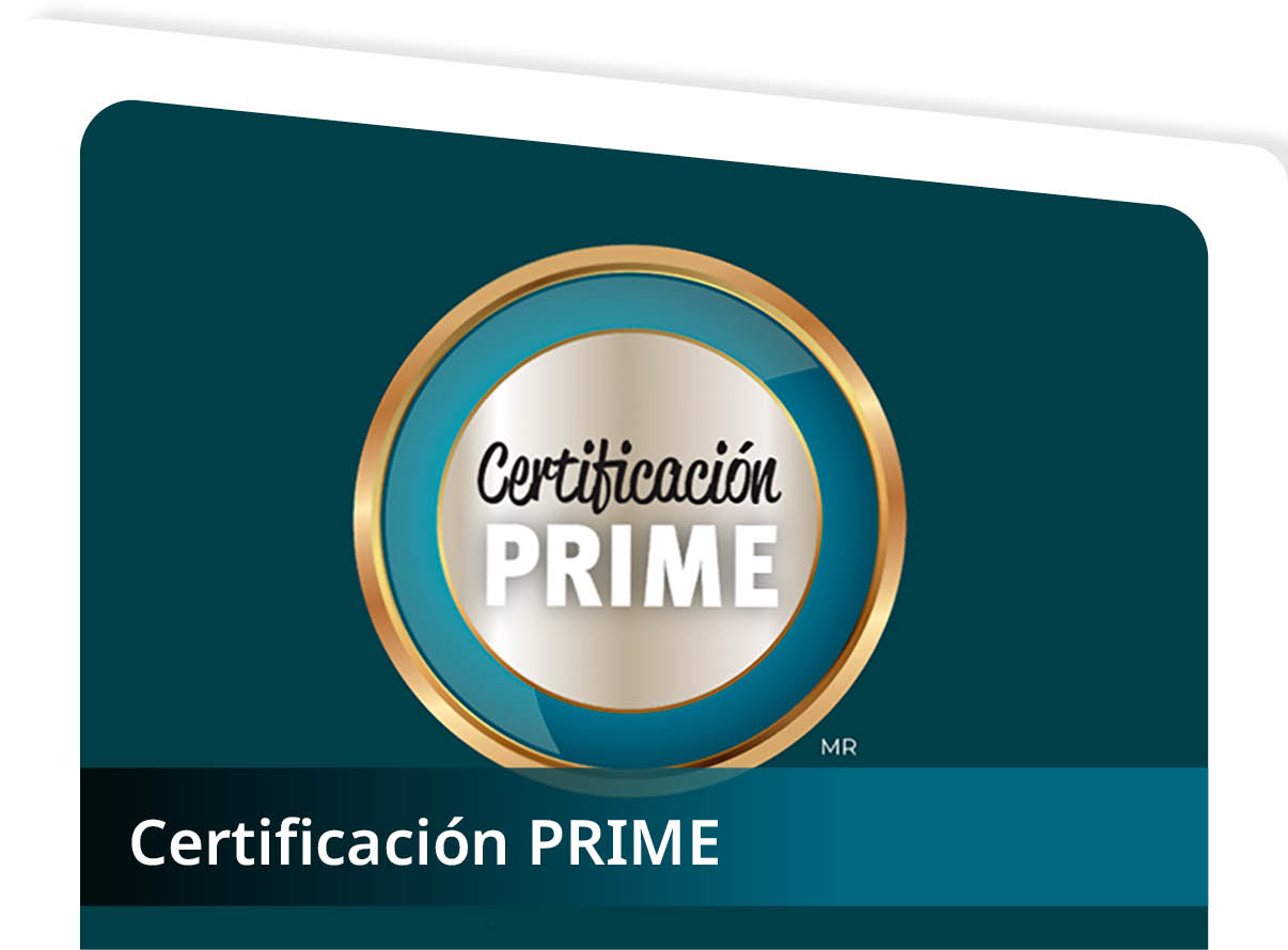 Certificaci�n PRIME Mini