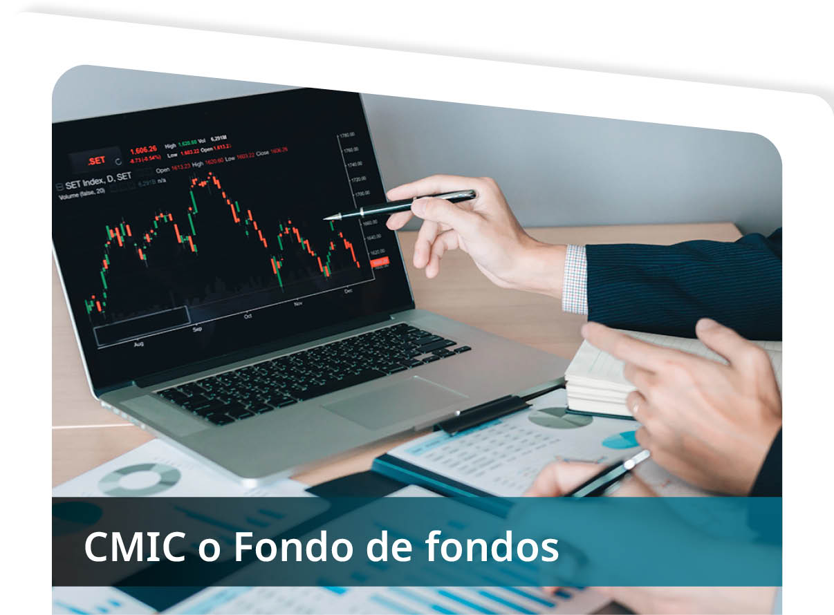 Corporaci�n Mexicana de Inversiones de Capital (CMIC) o Fondo de Fondos Mini