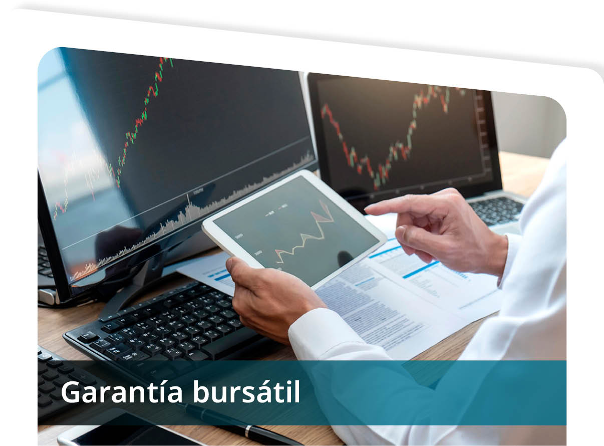 Garant�a Burs�til Mini