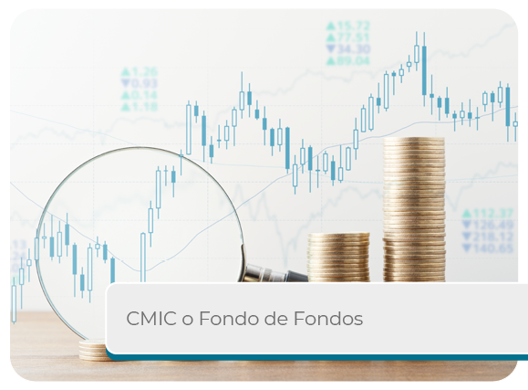 Corporaci�n Mexicana de Inversiones de Capital (CMIC) o Fondo de Fondos Mini