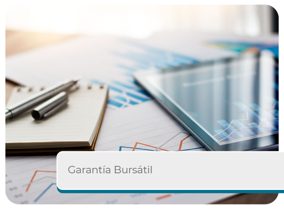 Garant�a Burs�til Mini