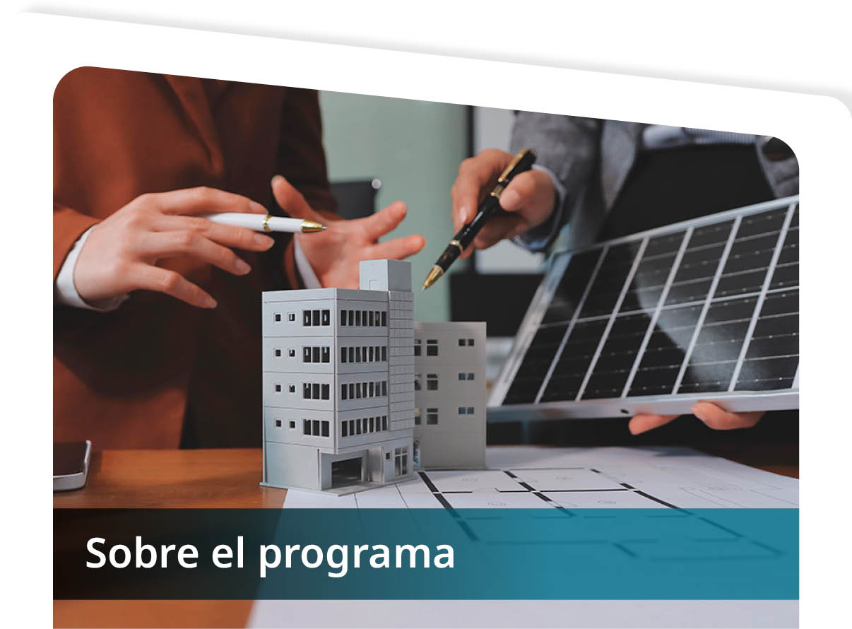 Sobre el programa Mini
