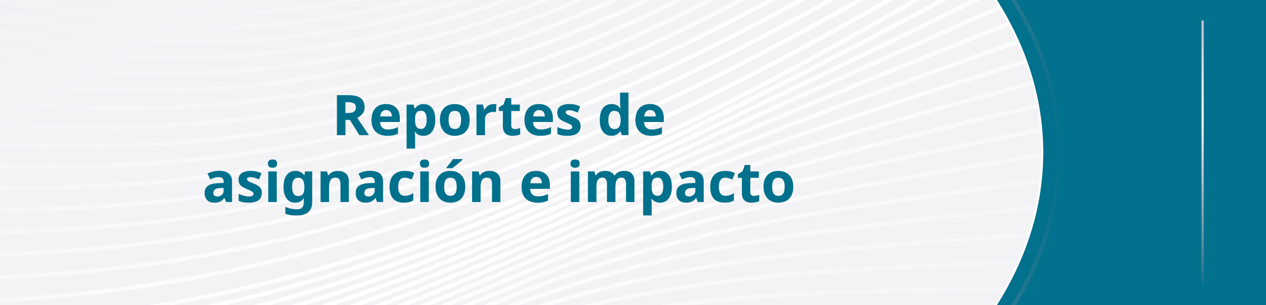 Reporte de asignaci&oacute;n e impacto 2025