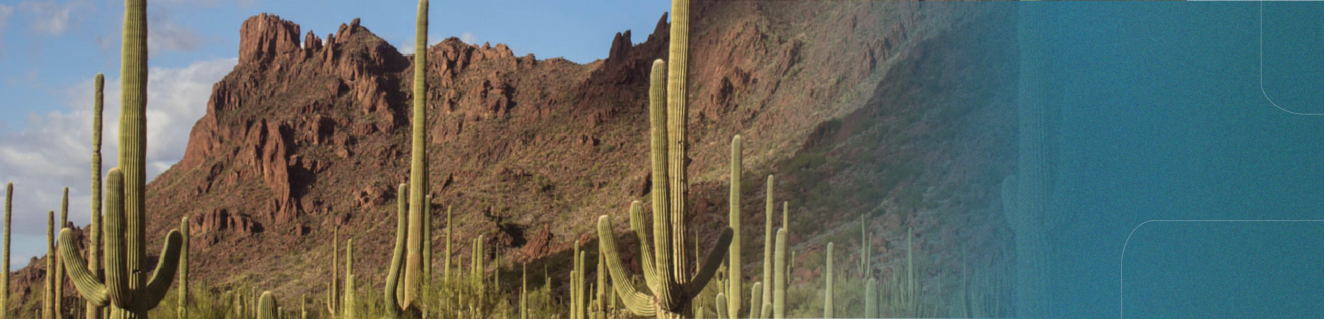 SONORA