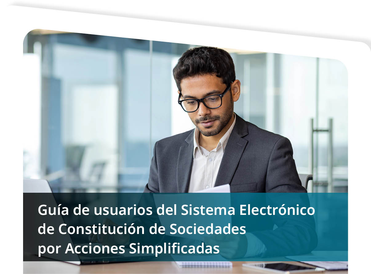 Manual de Usuarios del Sistema Electr�nico de Sociedades por Acciones Simplificadas Mini