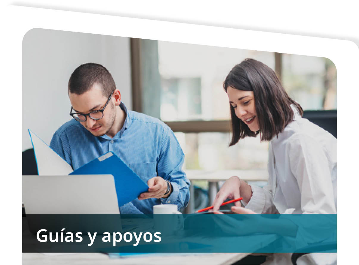 Gu�as y Apoyos Mini