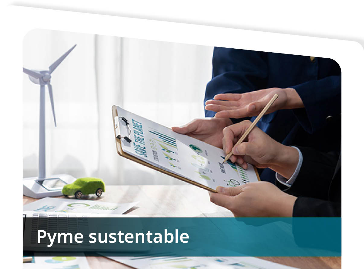Pyme Sustentable Mini