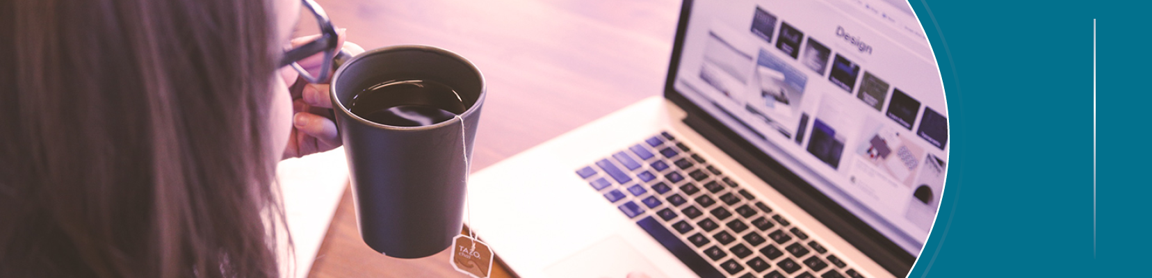 Etapa 1 Viabilidad de Incorporaci&oacute;n