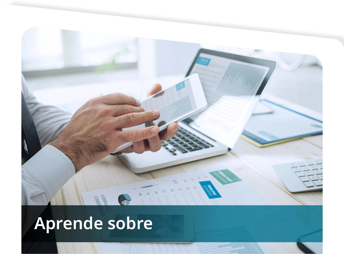 Aprende Sobre Mini
