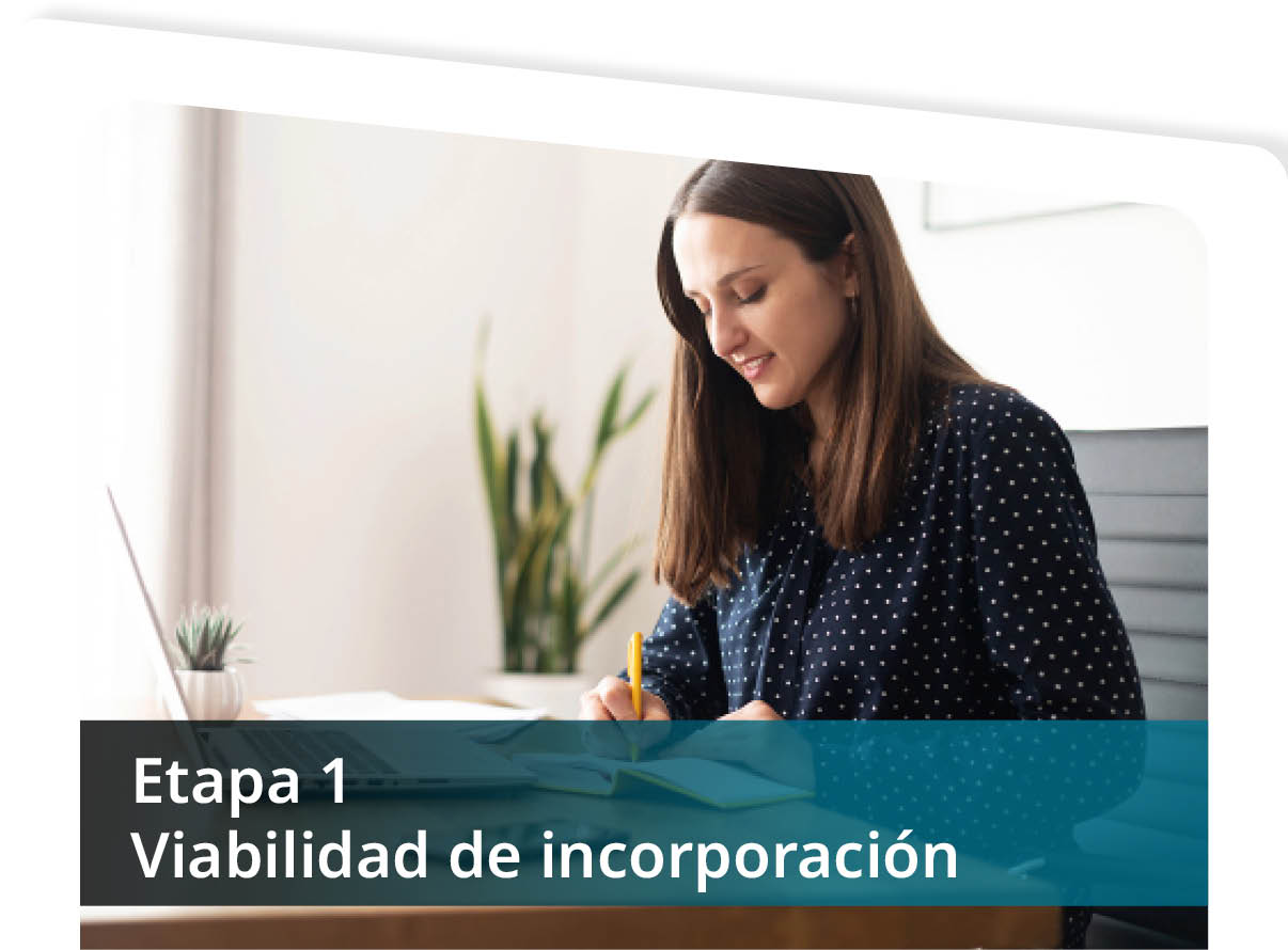 Etapa 1 Viabilidad de Incorporaci�n Mini