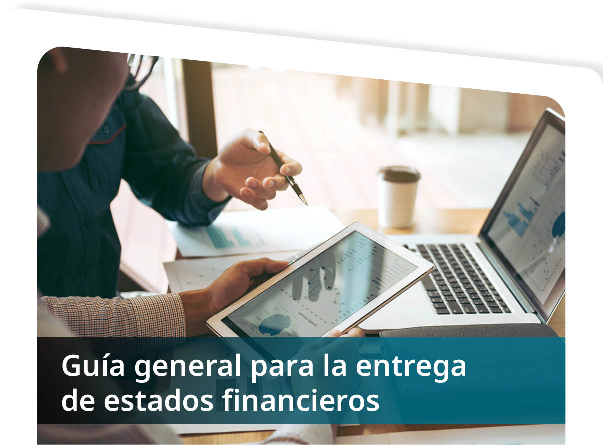 Gu�a general para la entrega de Estados Financieros  Mini