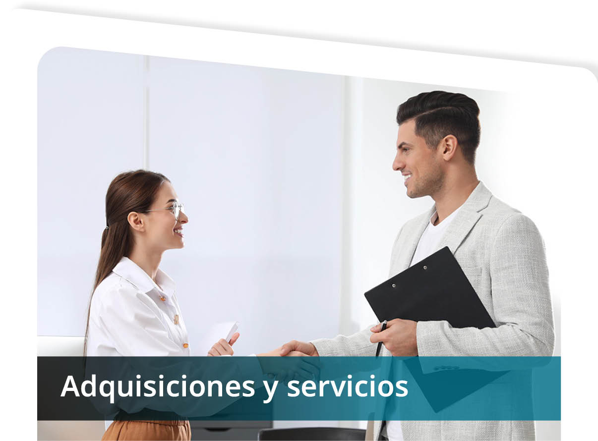 Adquisiciones y Servicios Mini