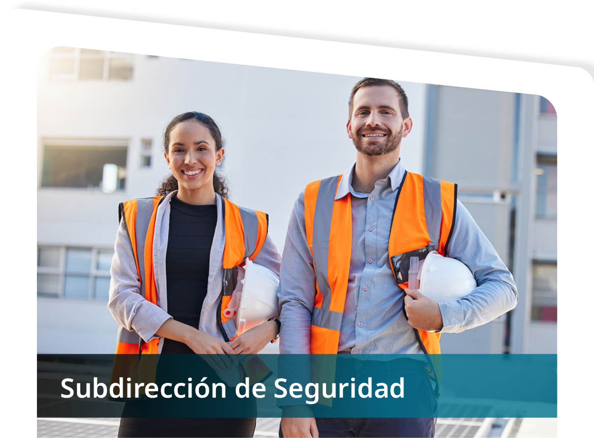 Subdirecci�n de Seguridad Mini