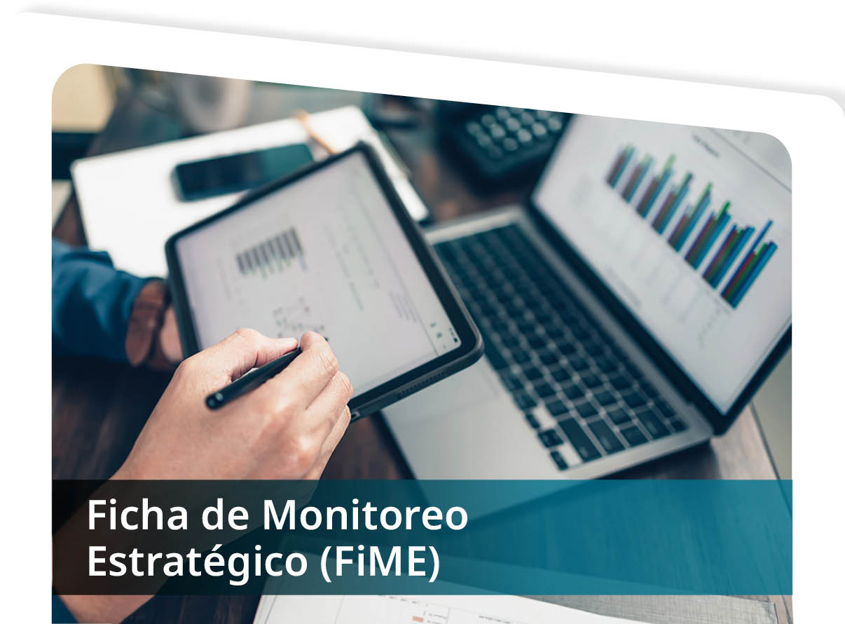Ficha de Monitoreo Estrat�gico (FiME) Mini