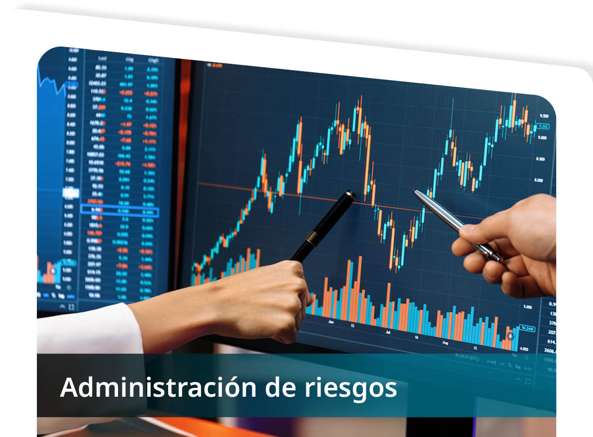 Administraci�n de Riesgos Mini