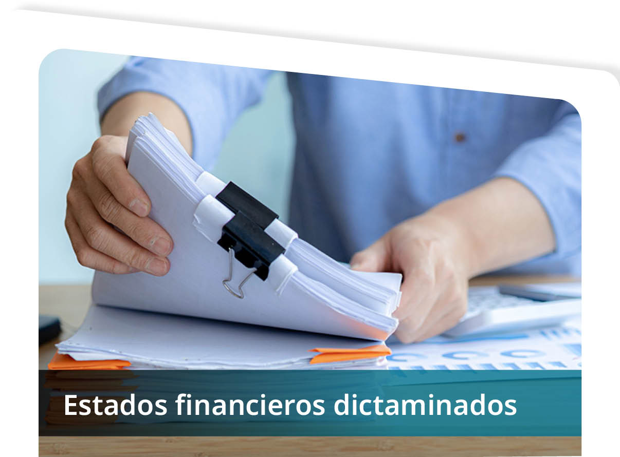 Estados Financieros Dictaminados Mini