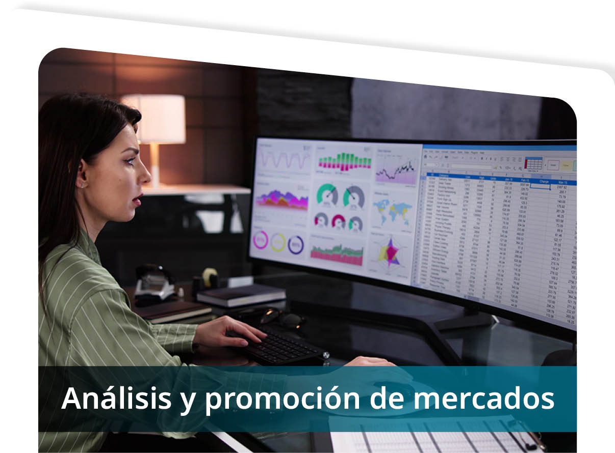 An�lisis y Promoci�n de Mercados Mini