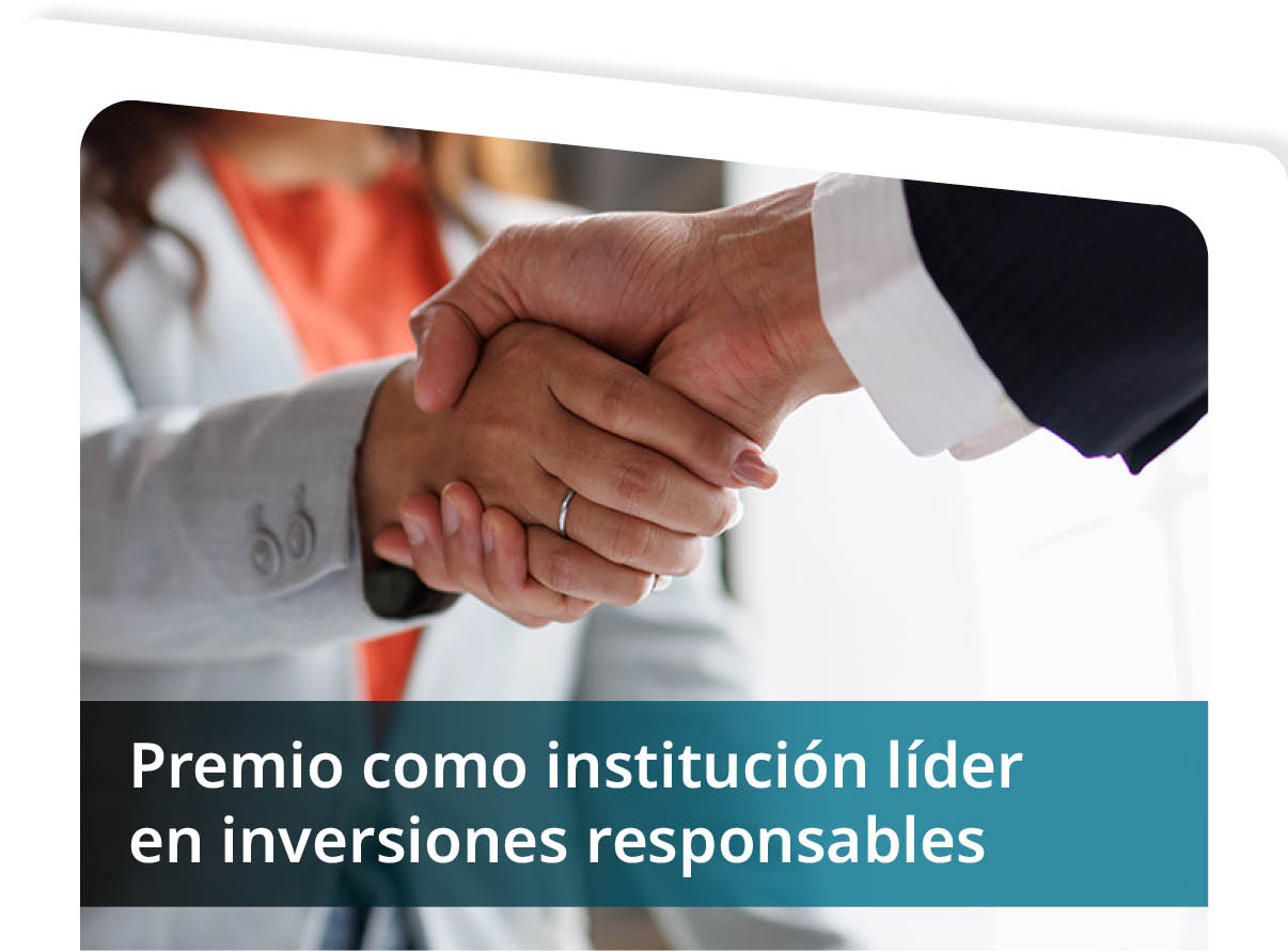Premio como Instituci�n L�der en Inversiones Responsables  Mini