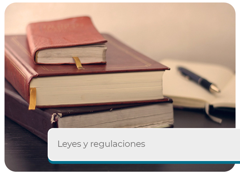 Leyes y Regulaciones Mini