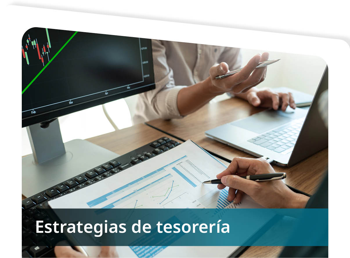 Estrategias de Tesorer�a Mini