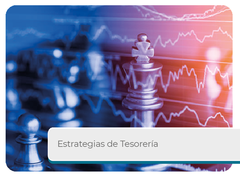 Estrategias de Tesorer�a Mini