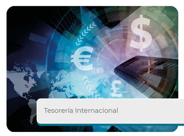 Tesorer�a Internacional Mini