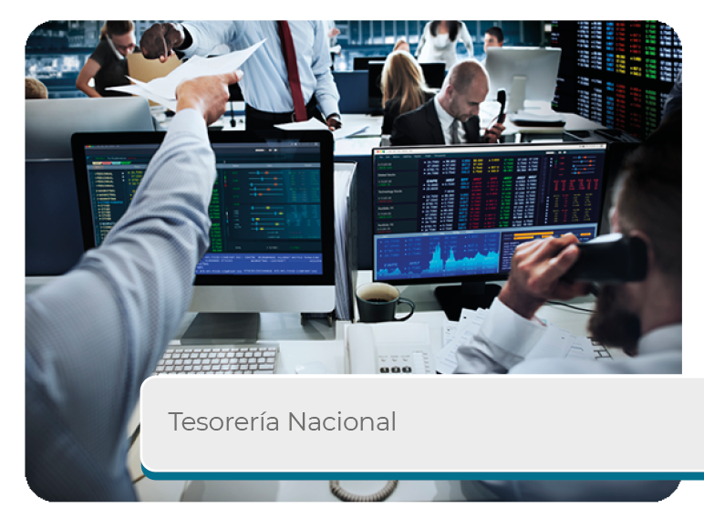 Tesorer�a Nacional Mini