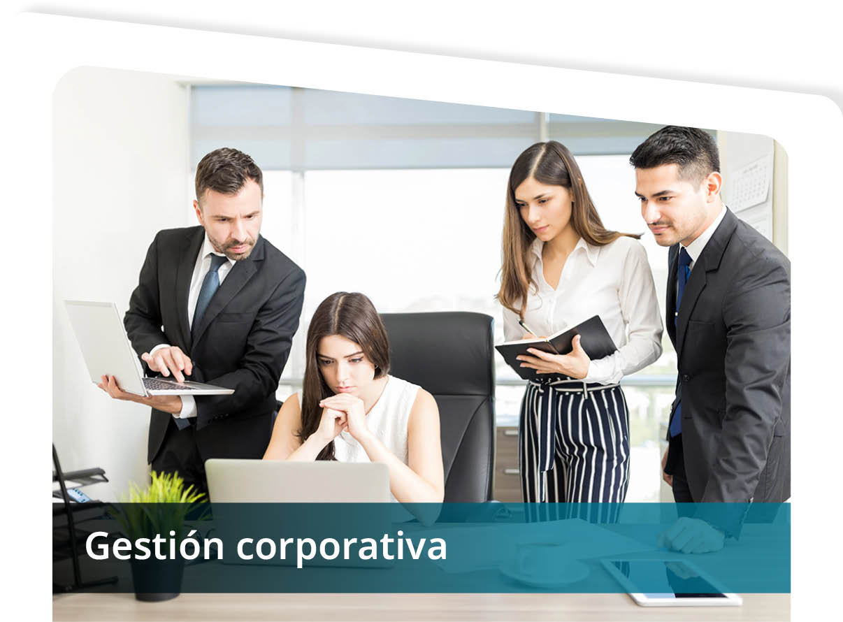 Gesti�n Corporativa Mini