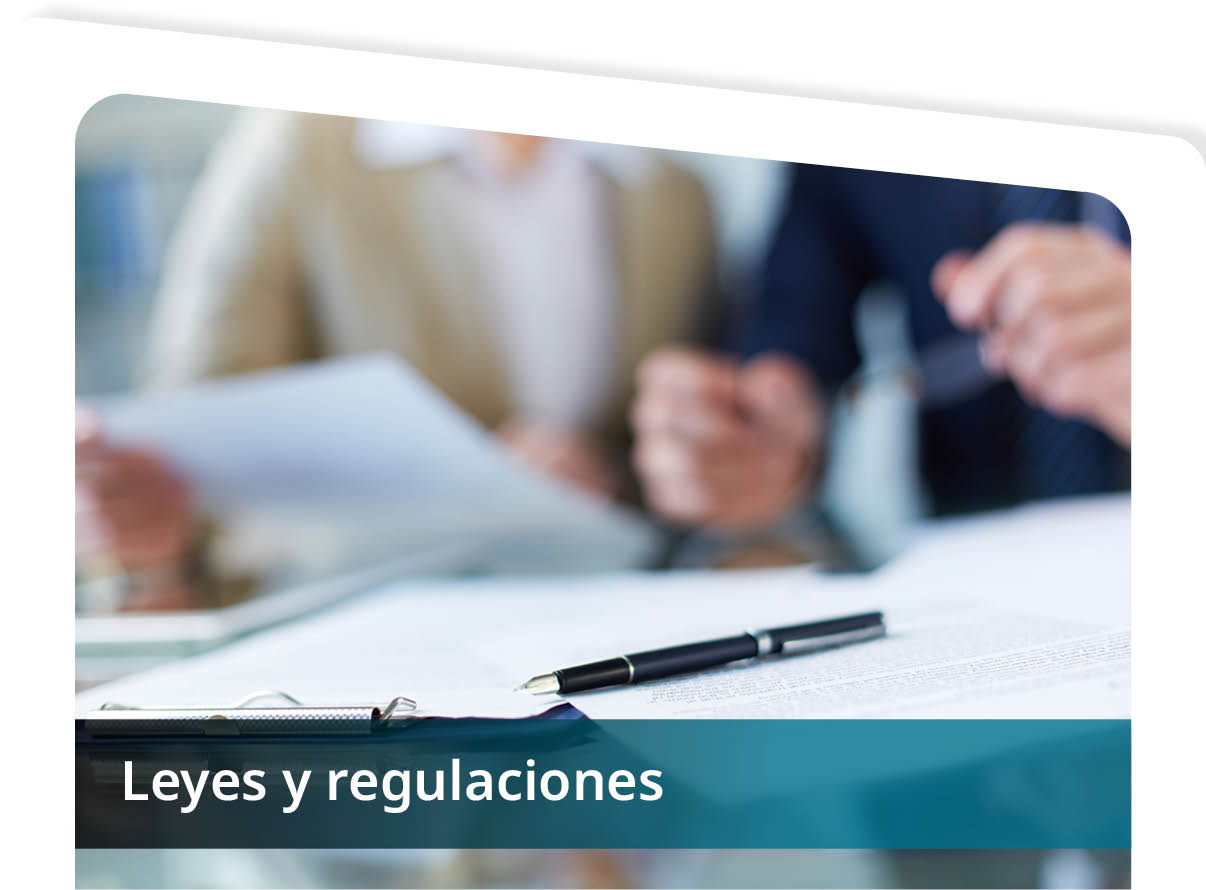 Leyes y Regulaciones Mini