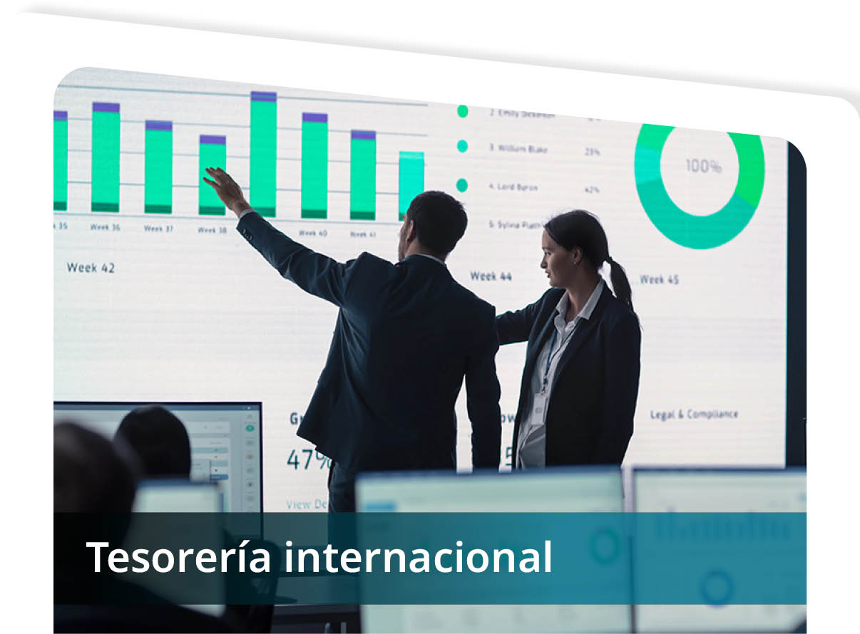 Tesorer�a Internacional Mini