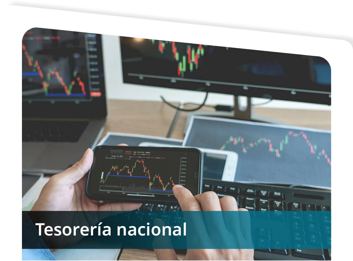 Tesorer�a Nacional Mini