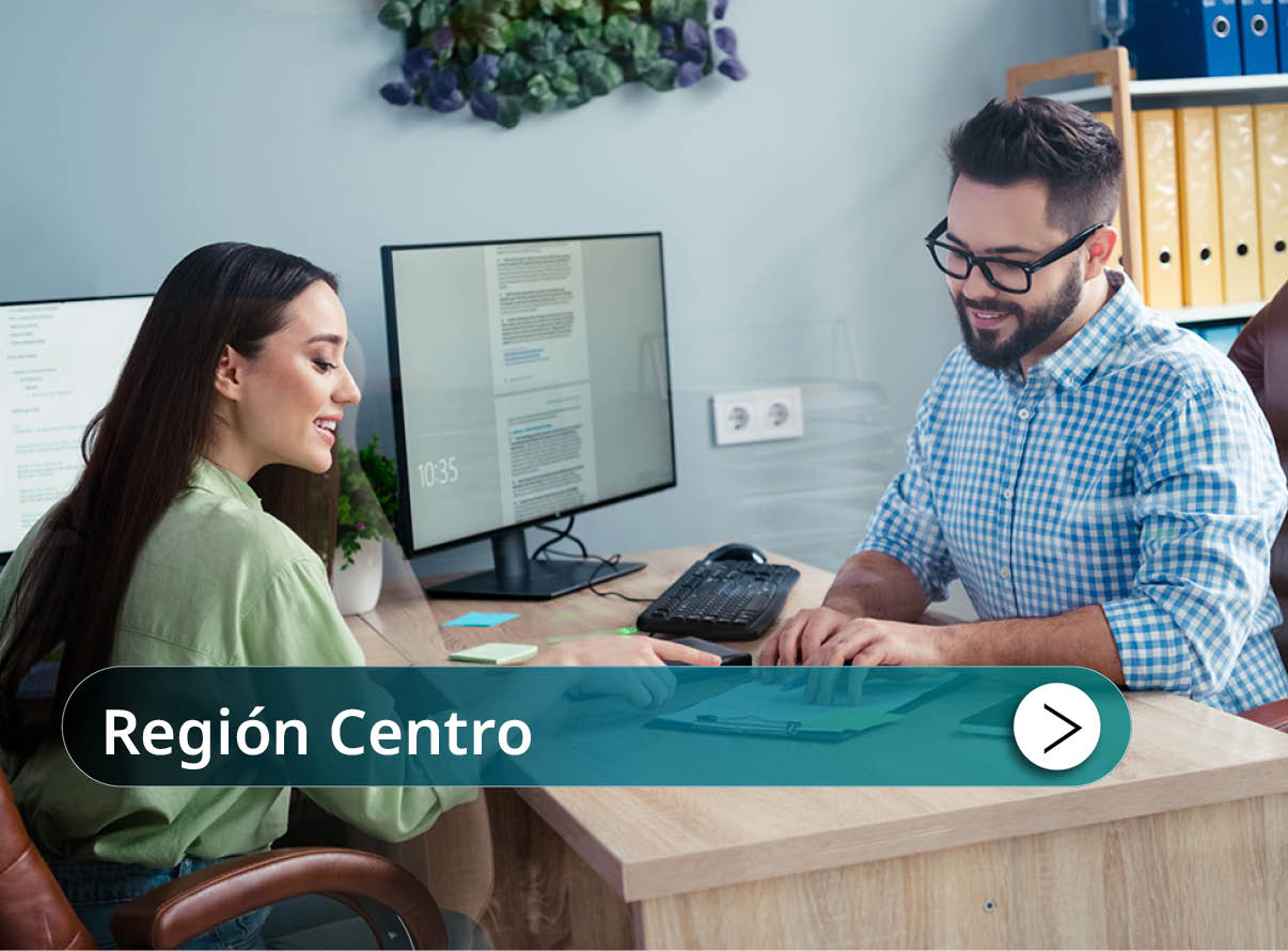 Regi�n Centro Mini