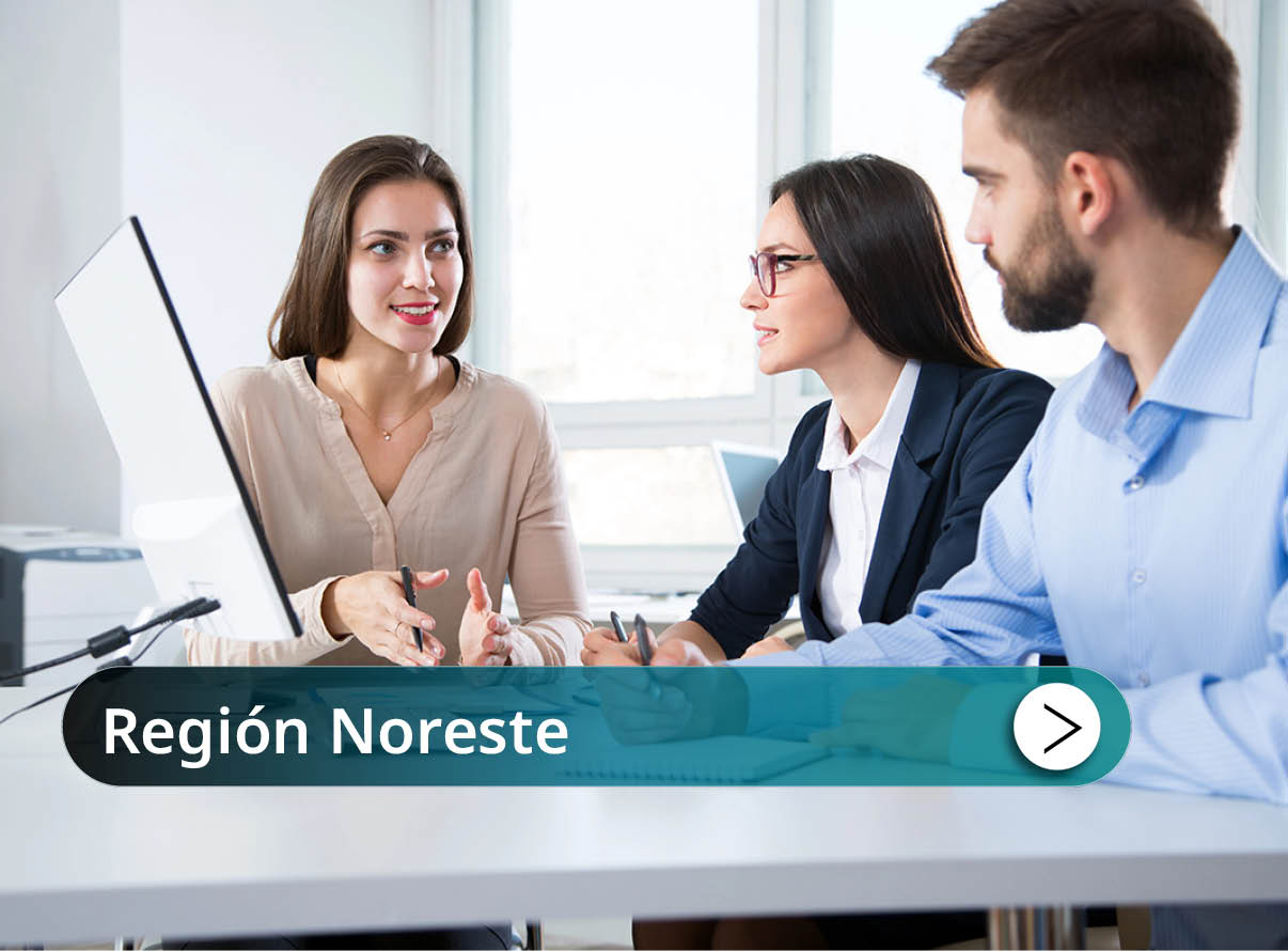 Regi�n Noreste Mini