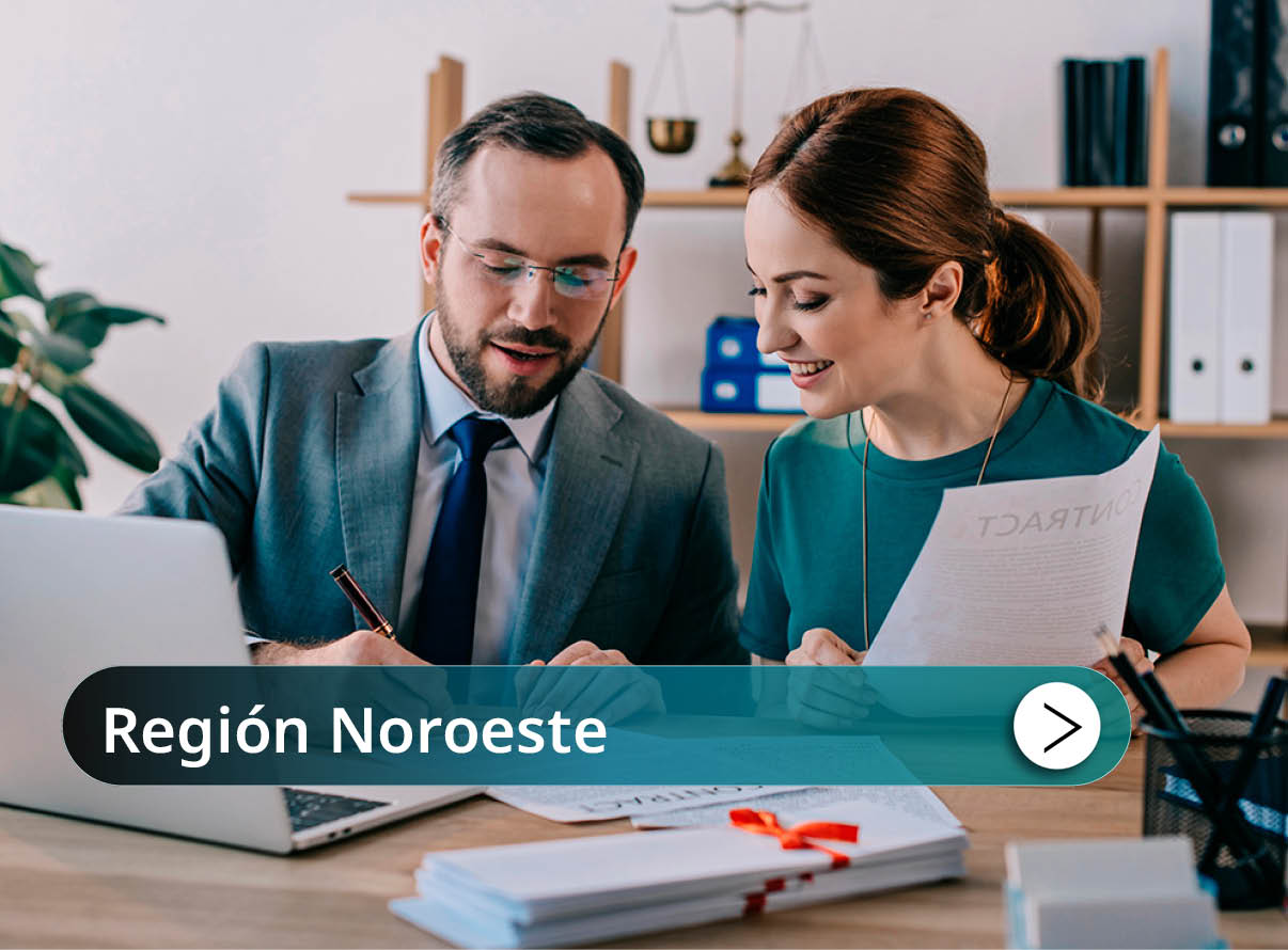 Regi�n Noroeste Mini