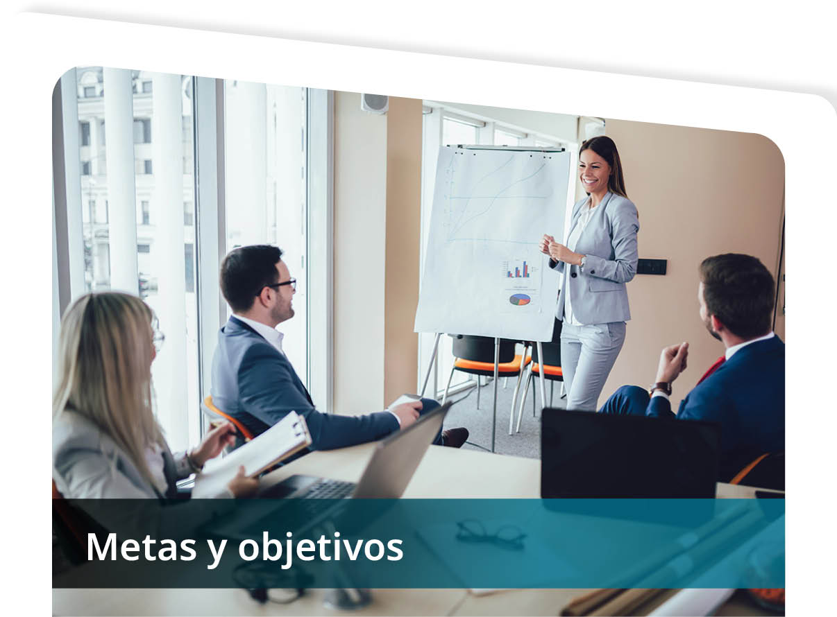 Metas y Objetivos Mini