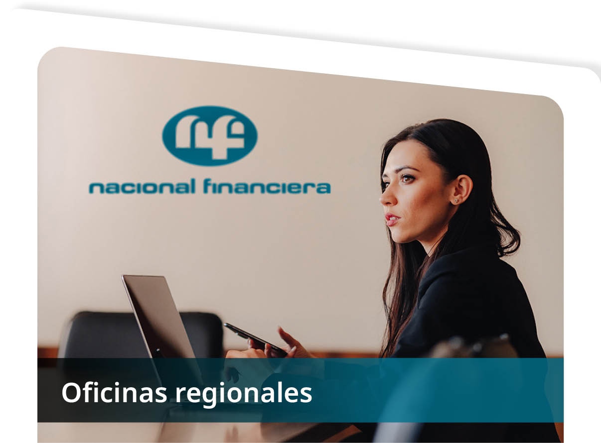 Oficinas Regionales Mini