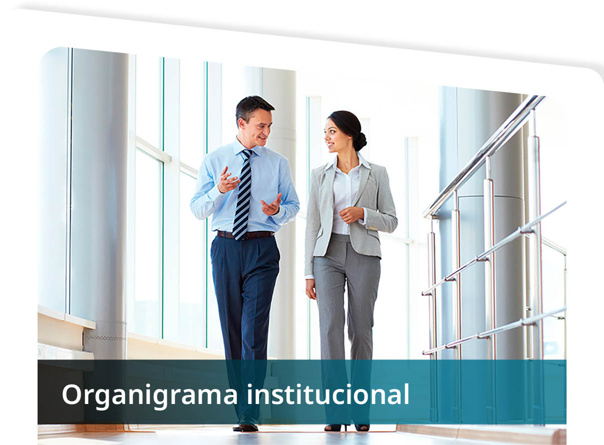 Organigrama Institucional Mini