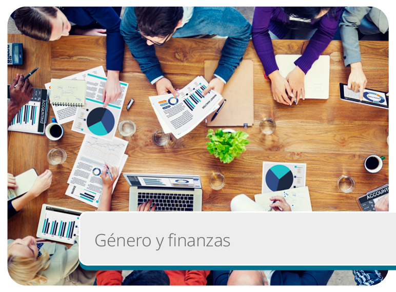 G�nero y finanzas Mini