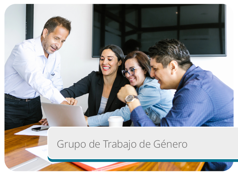 Grupo de Trabajo de G�nero Mini