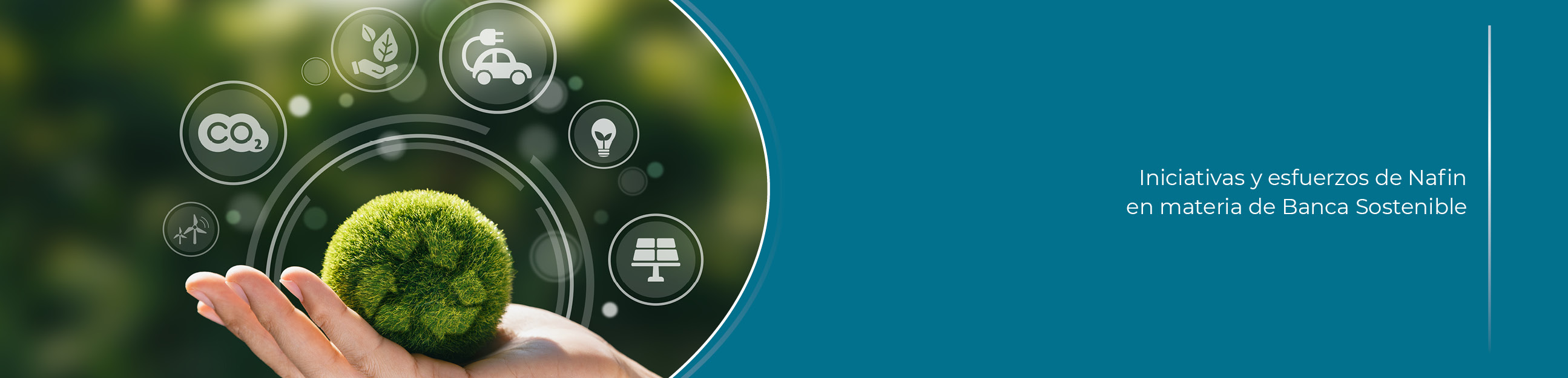 Alineaci&oacute;n con la sostenibilidad